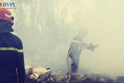 Cháy lớn ở bãi rác tự phát gây nguy hiểm lưới điện cao thế