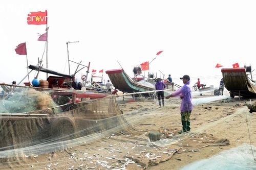 Ngư dân ven biển xứ Nghệ vào mùa đánh bắt cá trích