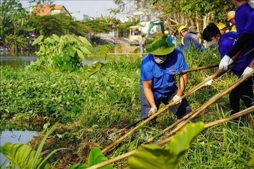 Tuổi trẻ Thành phố Hồ Chí Minh bảo vệ môi trường, lan tỏa lối sống xanh
