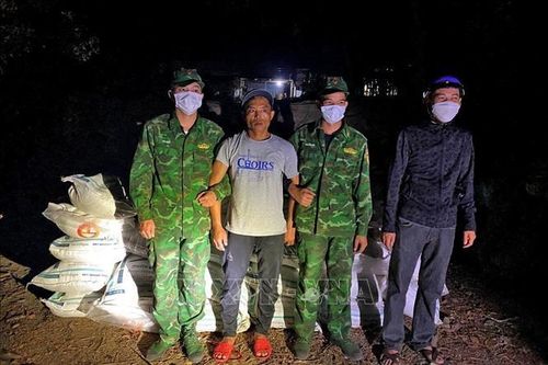 An Giang: Bắt quả tang đối tượng vận chuyển, cất giấu 1,5 tấn đường cát nhập lậu