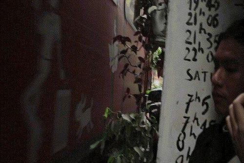 Hà Nội: Du khách tràn vào phố cà phê đường tàu trải nghiệm cảm giác mạnh ngày cuối tuần