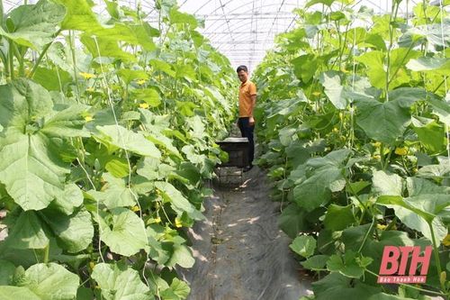 Cơ chế, chính sách khuyến khích làm động lực xây dựng nông thôn mới