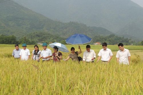 Đại học Thái Nguyên: Thực hiện 10 dịch vụ tư vấn khoa học và công nghệ