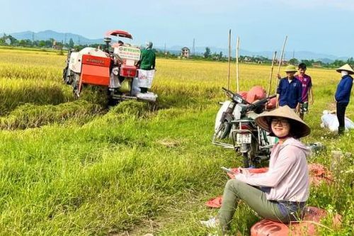 Biện pháp nào bảo vệ sức khỏe cho nông dân khi làm việc dưới nắng nóng?