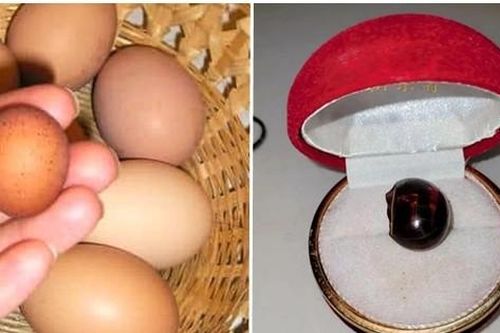 Quả trứng luộc bị bỏ quên suốt 20 năm bất ngờ trở thành 'viên ngọc' đắt giá