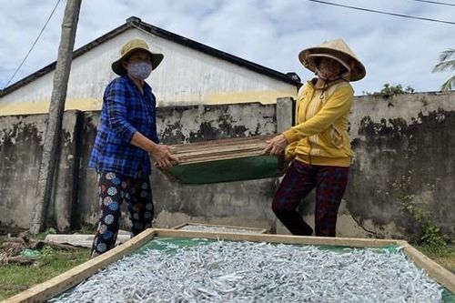 Tất bật mùa hấp cá ở Tịnh Kỳ