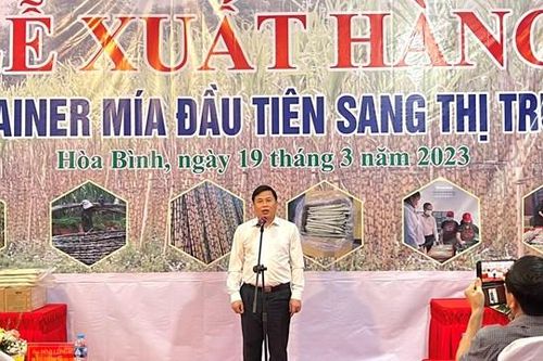 Hòa Bình: Chỉ đạo hỗ trợ ngành mía từ đơn hàng đầu tiên xuất khẩu sang Mỹ