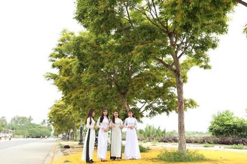Tam Kỳ tổ chức nhiều sự kiện thúc đẩy du lịch