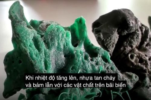 'Đá nhựa' được phát hiện ở hòn đảo hẻo lánh của Brazil