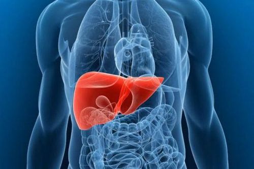 Dáng đi cảnh báo bệnh gan nhiễm mỡ tiến triển nặng