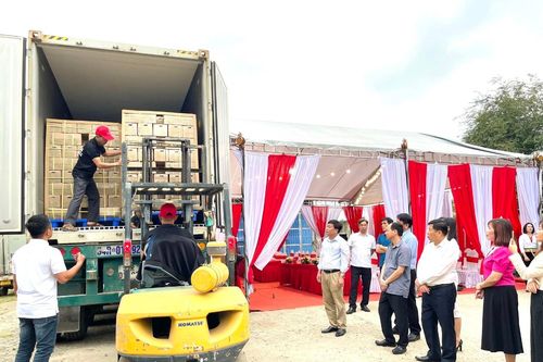 Hơn 17 tấn mía trắng đầu tiên của Hòa Bình xuất khẩu sang Mỹ