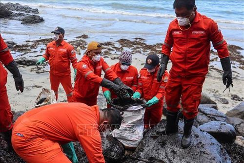 Dầu tràn lan đến khu bảo tồn biển quan trọng của Philippines