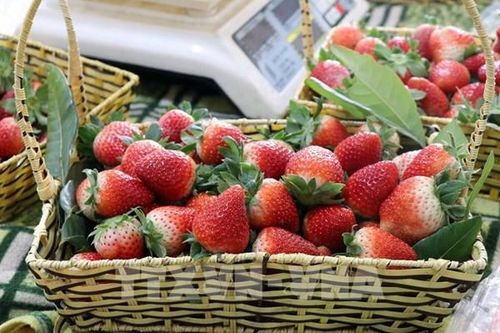 Ngày Quốc tế Hạnh phúc 20/3: 5 nhóm thực phẩm giúp tinh thần tích cực