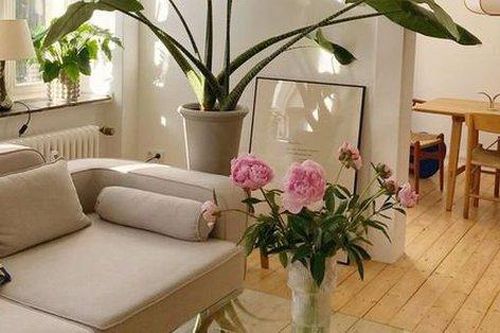 6 kiểu người nên đi thuê thay vì mua nhà để tránh rơi vào cảnh trắng tay
