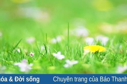 Dịu dàng miền cỏ