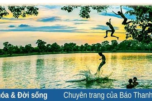 Nhớ cây sung già