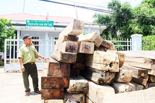 Khánh Vĩnh: Nhiều giải pháp bảo vệ rừng
