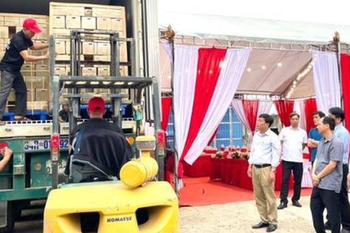 Hòa Bình: Xuất khẩu lô mía tươi đầu tiên sang thị trường Hoa Kỳ