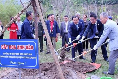 Giao lưu văn hóa gắn kết tình hữu nghị Việt Nam - Nhật Bản