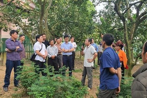 Chỗ dựa của đồng bào dân tộc thiểu số