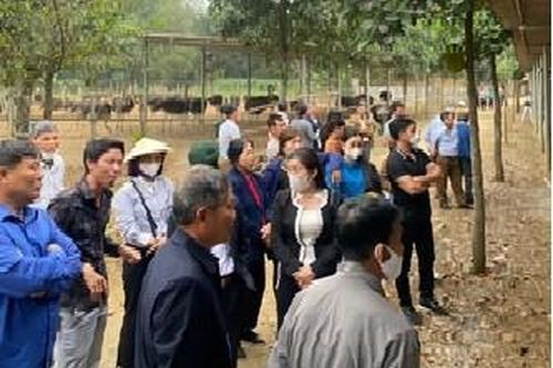 Ngăn chặn kịp thời 'Tour du lịch miễn phí 0 đồng' có dấu hiệu lừa đảo