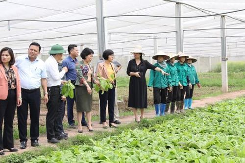 Làm rõ những khó khăn, bất cập trong thực hiện phát triển nông nghiệp, nông thôn