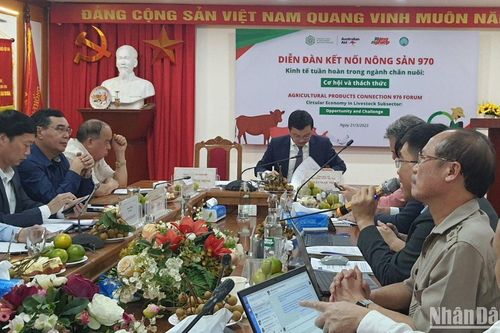 Kinh tế tuần hoàn trong chăn nuôi: Cơ hội và thách thức