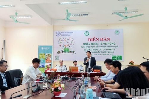 Rừng khỏe mạnh để con người khỏe mạnh