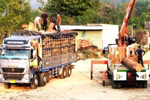 Điều tra vụ vùi 'gỗ lậu' trong bãi tập kết cát ven sông