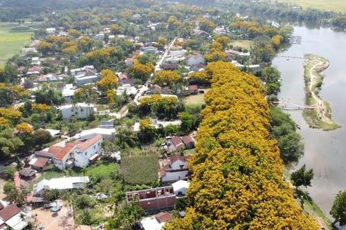 Nhiều hoạt động đặc sắc diễn ra trong năm 2023 tại Thành phố Tam Kỳ