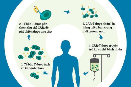 Dùng hệ thống miễn dịch tiêu diệt tế bào ung thư