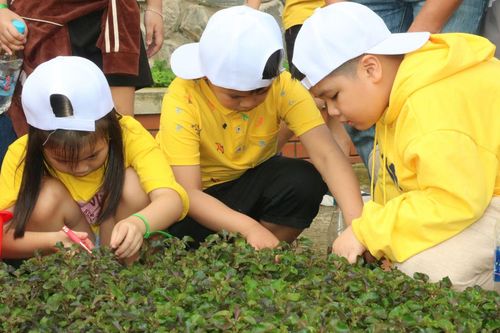 Khơi dậy đam mê nông nghiệp