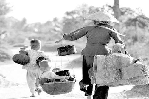 Đòn gánh tre của mẹ