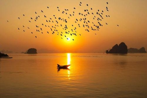 Vịnh Bái Tử Long: Tiềm năng phát triển du lịch chưa được đánh thức
