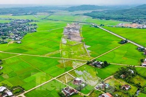 Quảng Ngãi kiến nghị chuyển mục đích sử dụng gần 169 ha đất để làm cao tốc
