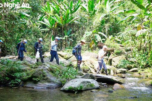 Khảo sát xây dựng, phát triển sản phẩm du lịch miền Tây Nghệ An