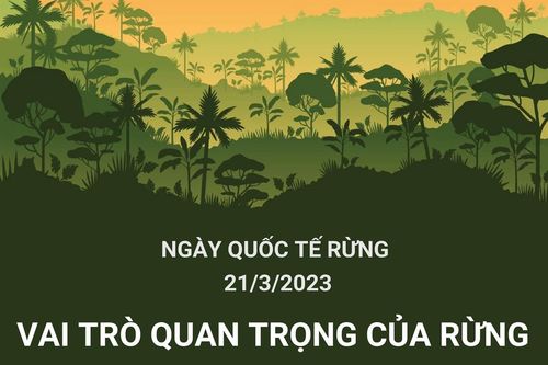 Ngày quốc tế Rừng 21/3/2023: 'Rừng và Sức khỏe'