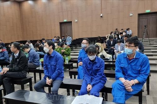 Vụ 'siêu lừa' Hà Thành: Khúc mắc phân định vai trò tố tụng của các ngân hàng