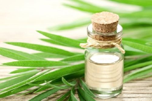 Cách dùng tinh dầu tràm trị sẹo lồi vô cùng hiệu quả