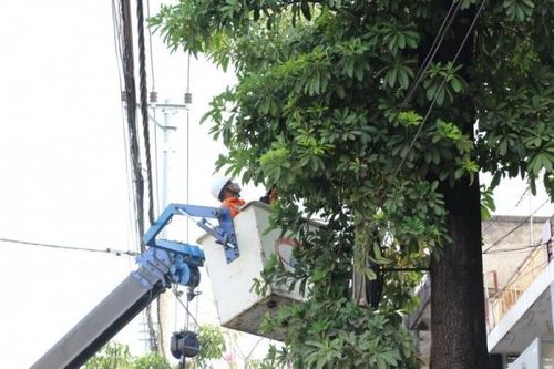 PC Kon Tum đảm bảo cấp điện mùa nắng nóng