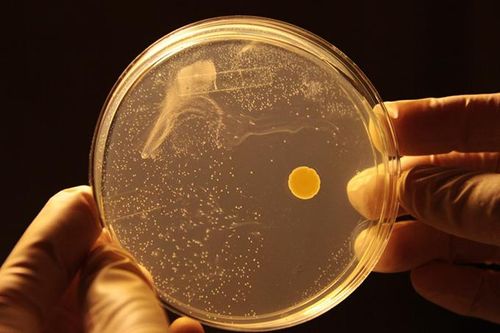 Các nhà khoa học Australia sản xuất điện từ không khí loãng