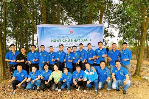 Đoàn Thanh niên VINAPACO thiết thực bảo vệ môi trường hưởng ứng 'Ngày chủ nhật xanh'