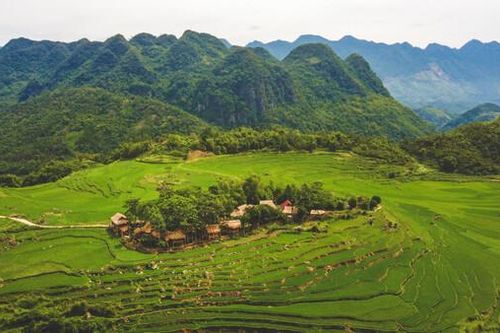 Rừng và Sức khỏe: 'Bảo vệ rừng cũng chính là bảo vệ sức khỏe của bạn'