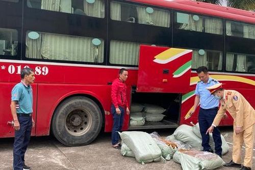 Vận chuyển gần 500kg lòng lợn sấy khô ẩm mốc, chảy nước bốc mùi hôi thối về Quảng Ninh bán kiếm lời, tài xế Thanh Hóa nhận kết đắng