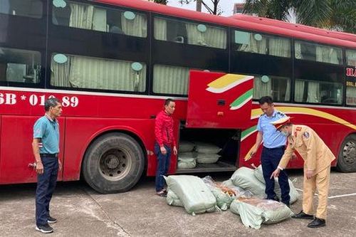 Mua 5 tạ lòng lợn sấy khô ẩm mốc, chảy nước bốc mùi hôi thối về bán kiếm lời