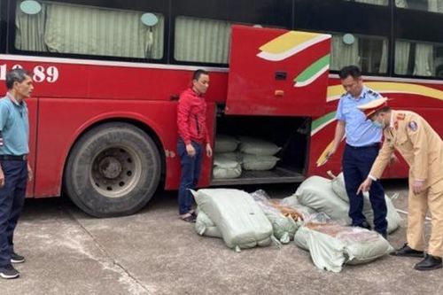 Buộc tiêu hủy 500kg lòng lợn sấy bị ẩm mốc, bốc mùi hôi thối