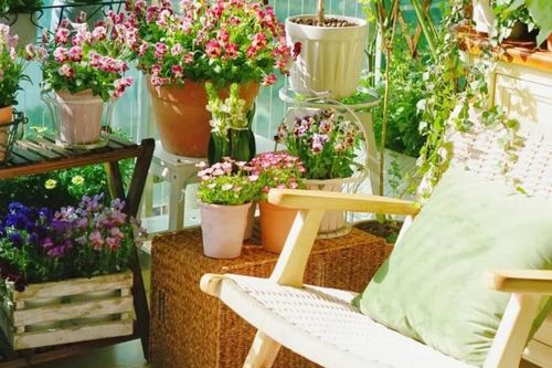 Mẹ đảm khéo biến 6m2 ban công thành khu vườn xanh mướt