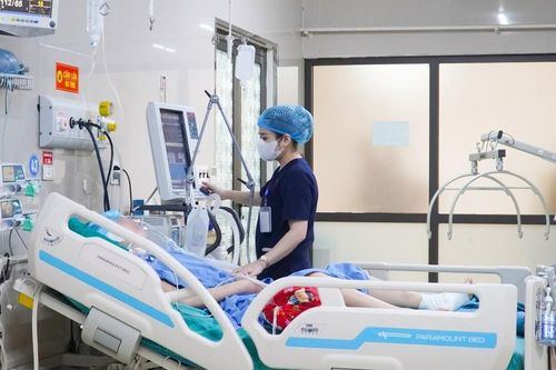 Cô giáo Phú Thọ chấn thương sọ não nặng vì chó thả rông