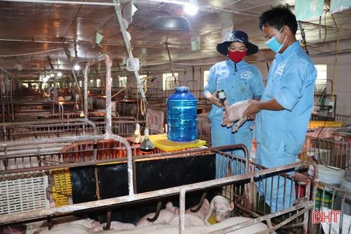'Bắt mạch' hợp tác xã ở Hà Tĩnh