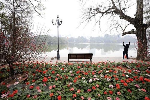 Kế hoạch loại trừ chất làm giảm tầng ozone tham vọng của Việt Nam